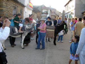 Actividades Lucillo