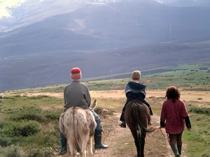 Actividades Lucillo